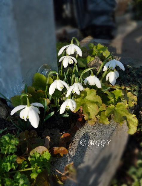 © - 2021 - 04 - 2022 - 00 - Iarna