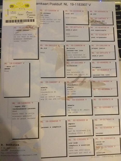 07ped - Willy Cokelaere - Belg-2021