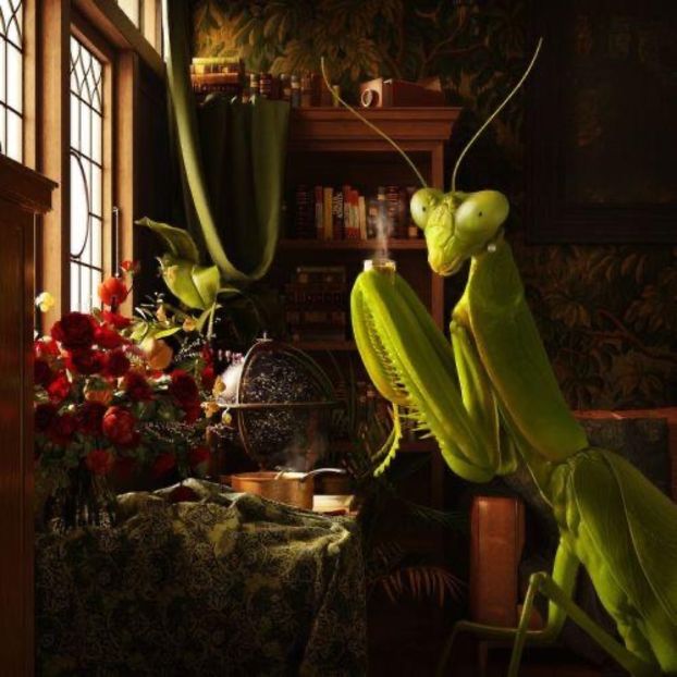 quiet nights like these...,,, - Collection of Tintypes