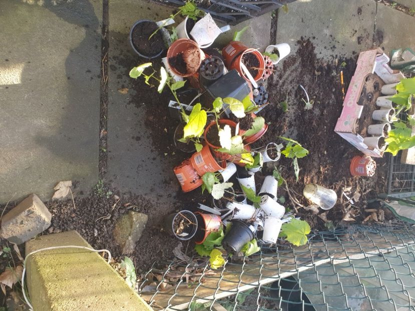  - 01 Accident în urma furtunii din 15 februarie 2022