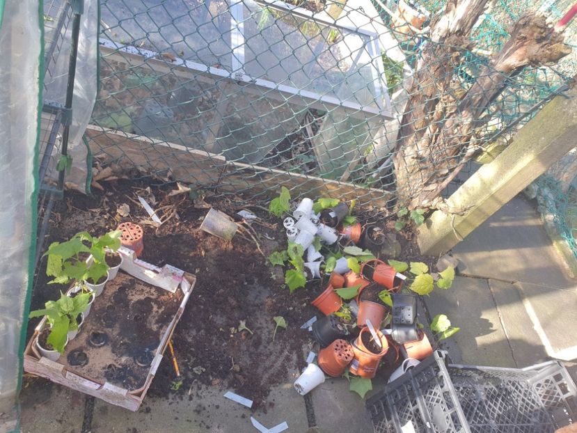  - 01 Accident în urma furtunii din 15 februarie 2022