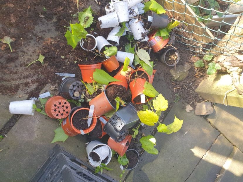  - 01 Accident în urma furtunii din 15 februarie 2022