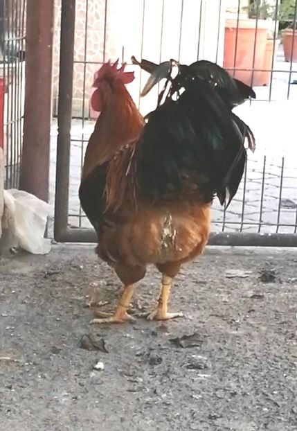 New Hampshire - 2022 New Hampshire