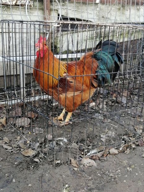 New Hampshire - 2022 New Hampshire