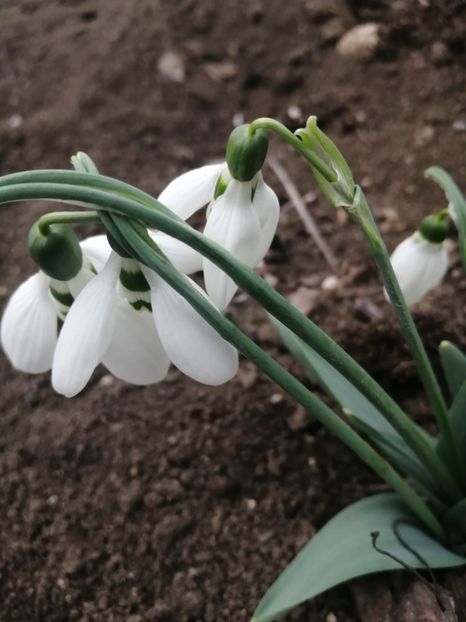  - Frumuseti la casa parinteasca