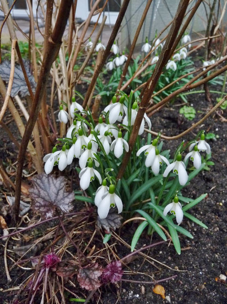 © - 2021 - 04 - 2022 - 00 - Iarna