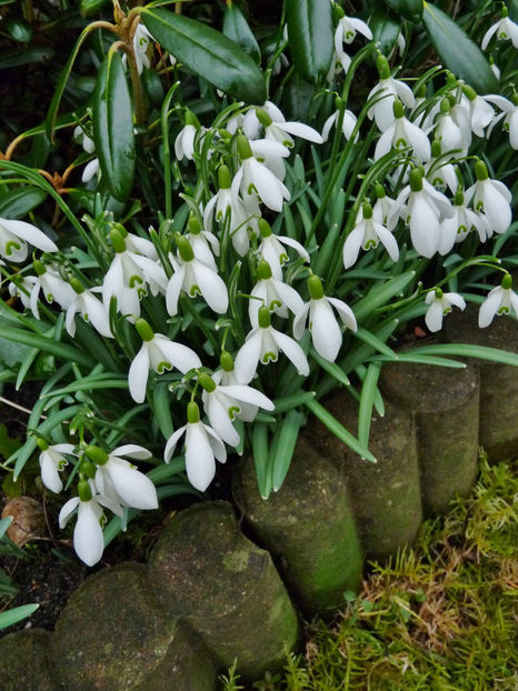 © - 2021 - 04 - 2022 - 00 - Iarna