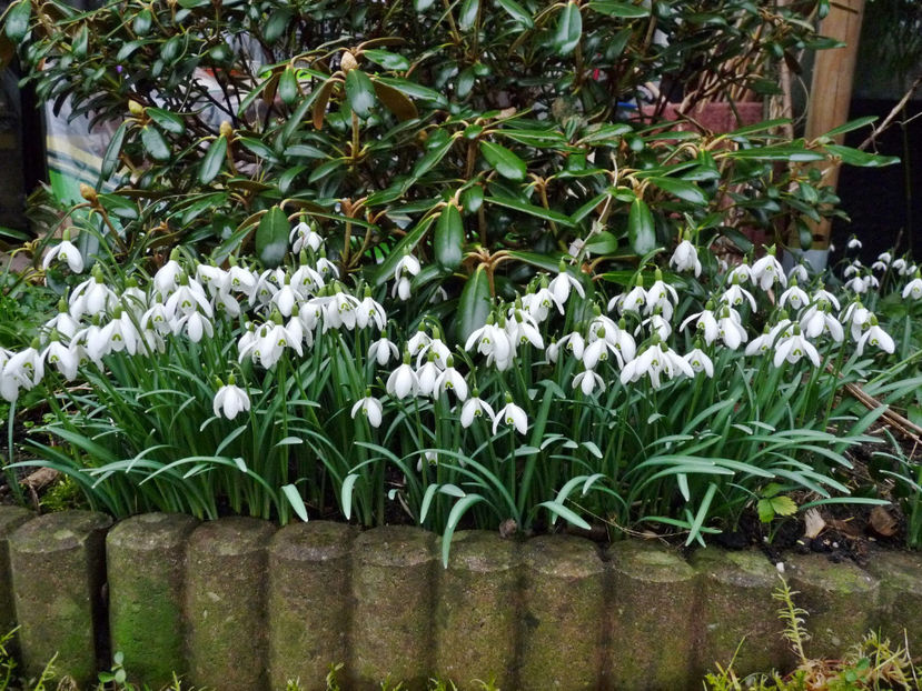 © - 2021 - 04 - 2022 - 00 - Iarna