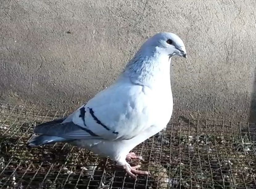 41 Archiwum - h- MLODE -2021- Youth