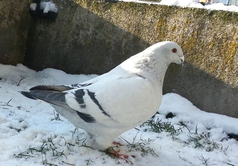 26 M. Archiwum - h- MLODE -2021- Youth