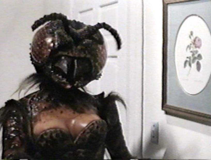 sh!tposting till the finals - Collection of Tintypes