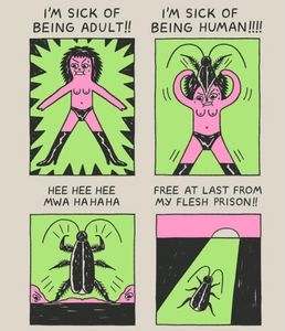  - Collection of Tintypes