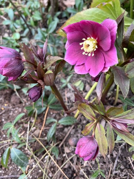 3D4E3BBC-A6A7-4DF1-8963-87335BA892E8 - Spanz 21 22