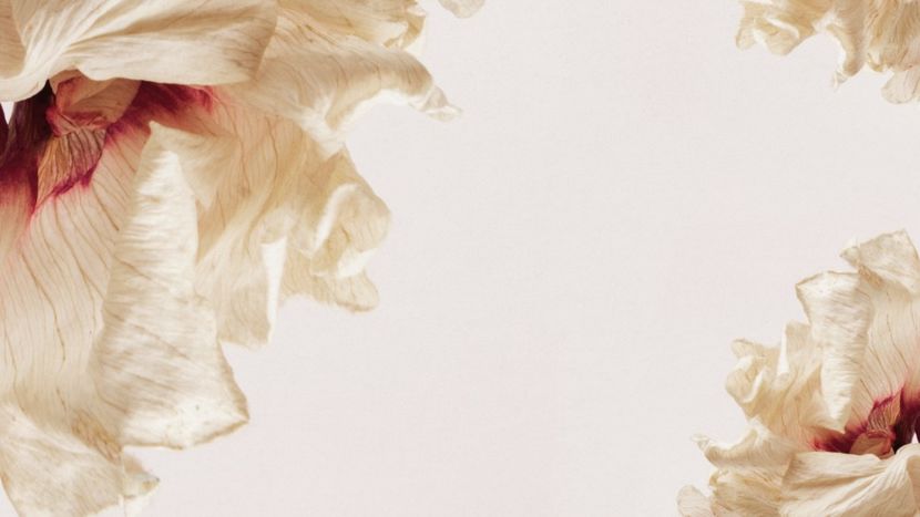 image-from-rawpixel-id-4063507-original - anorexia