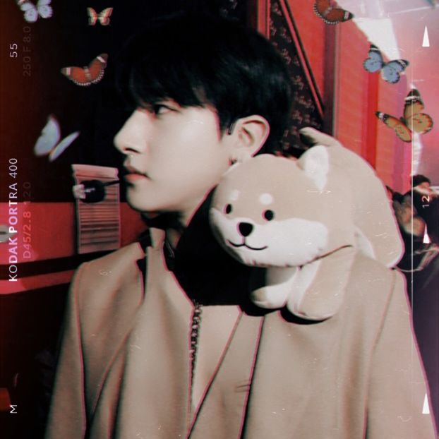 ぇ ꜜ 85thᵈ̣ᵃ̣ʸ̣ ㅎ ⊹ 24.02.2022 ₊ ❏. · ♡ - Vault of Heaven