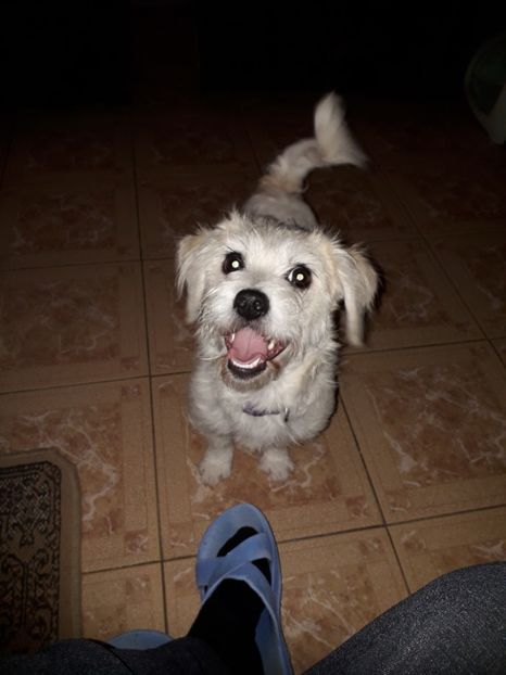  - Bella