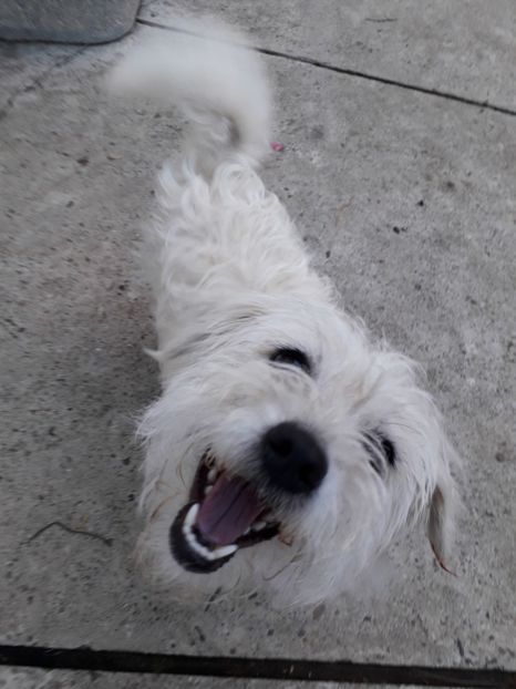  - Bella
