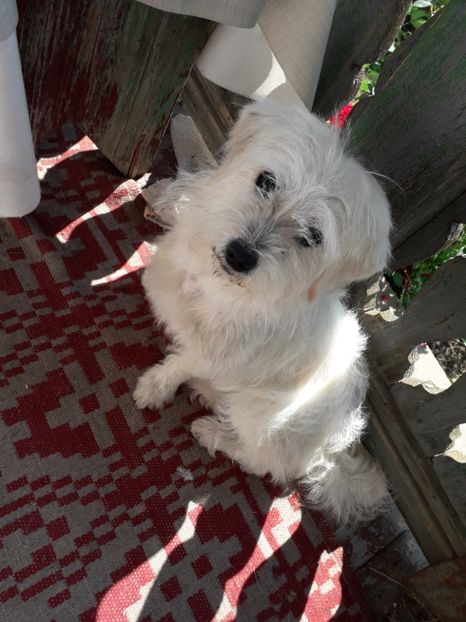  - Bella