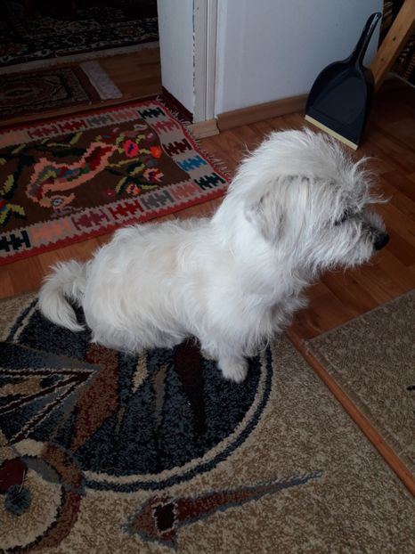  - Bella
