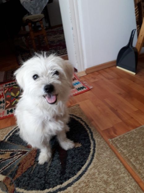  - Bella