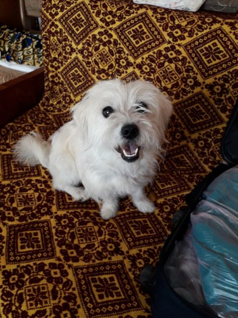  - Bella