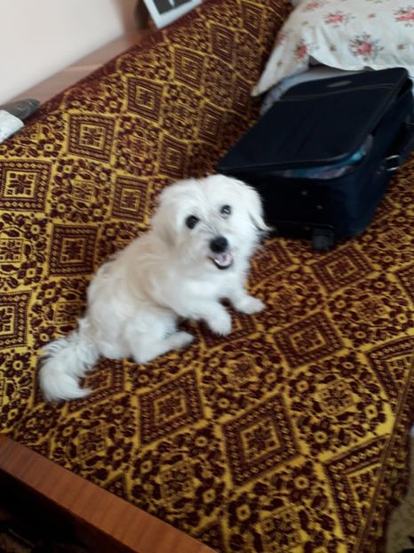  - Bella