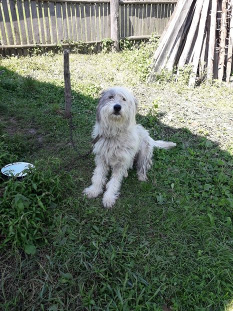  - Bella