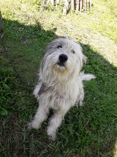  - Bella