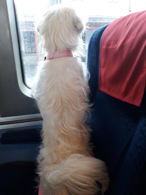  - Bella