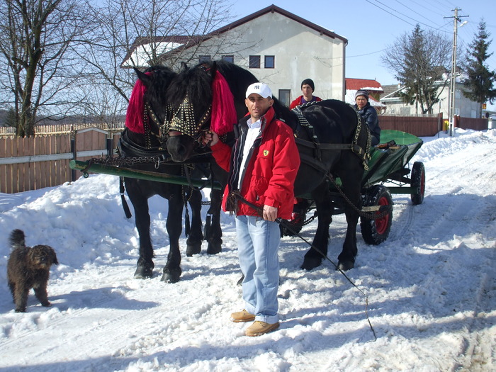 cai la piata-feb.2010 036