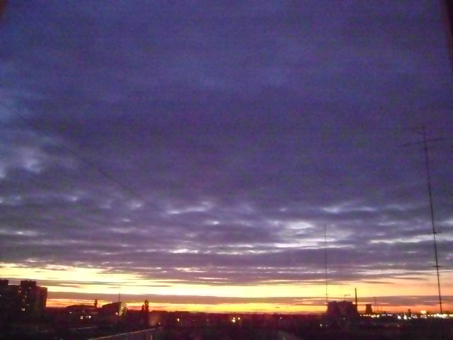 DSC07913 - APUS DE SOARE