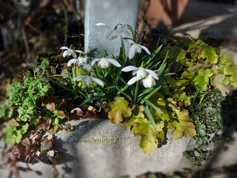 © - 2021 - 04 - 2022 - 00 - Iarna