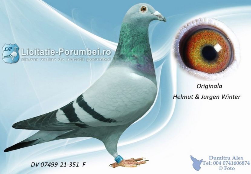  - Willy Cokelaere - Belg-2021