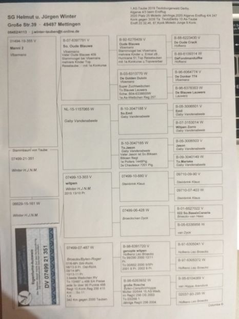 351ped - Willy Cokelaere - Belg-2021