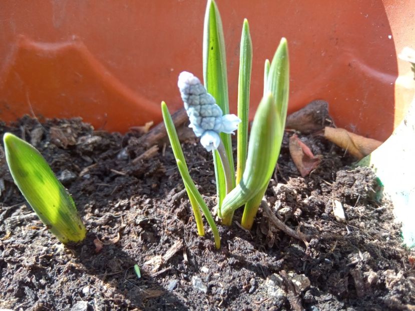  - 02 Iarna 2021-2022