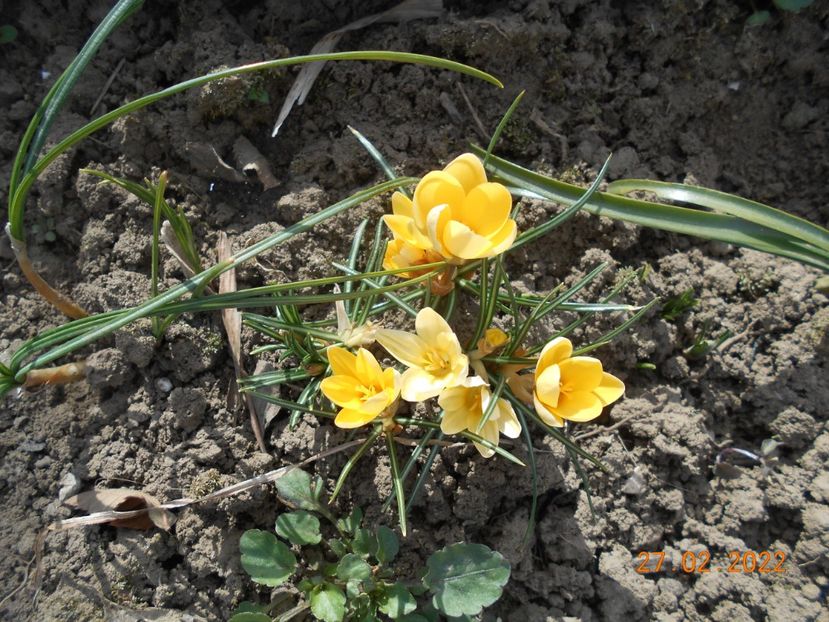  - 02 Iarna 2021-2022