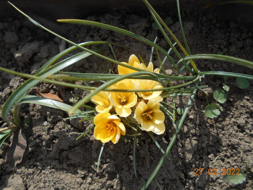  - 02 Iarna 2021-2022