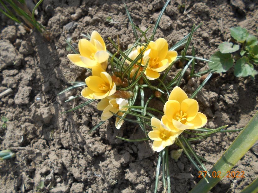  - 02 Iarna 2021-2022