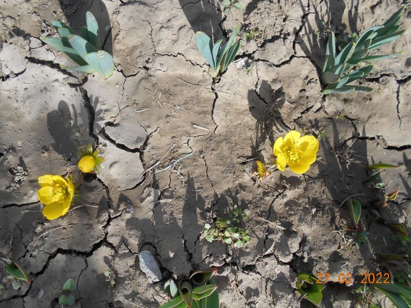  - 02 Iarna 2021-2022