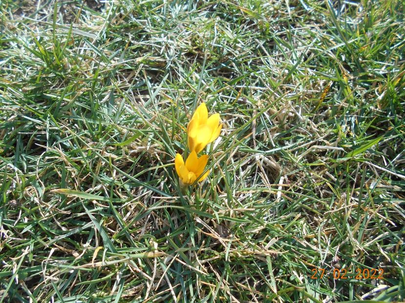  - 02 Iarna 2021-2022