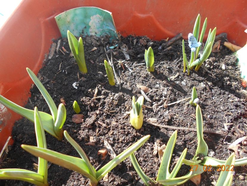  - 02 Iarna 2021-2022