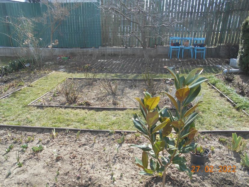  - 02 Iarna 2021-2022