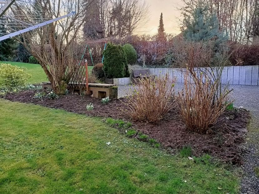 Img.2022.02.25 - Grădina mea