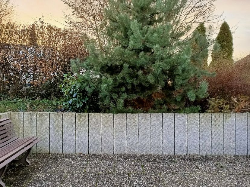 Img.2022.02.25 - Grădina mea