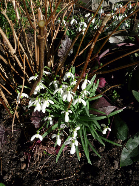  - 2021 - 04 - 2022 - 00 - Iarna