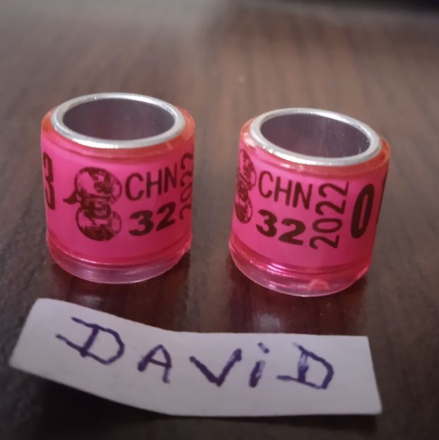 2022-CHN  fara talon....-1 leu - Inele 2014