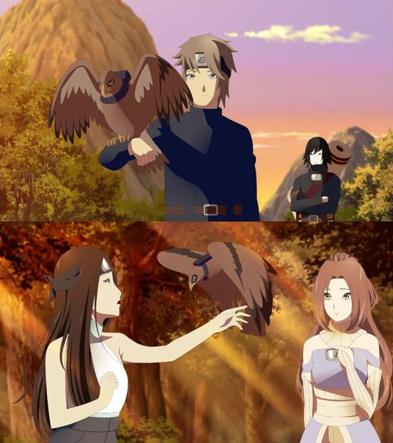 fam bucatti + brosu vulturoi - OCs