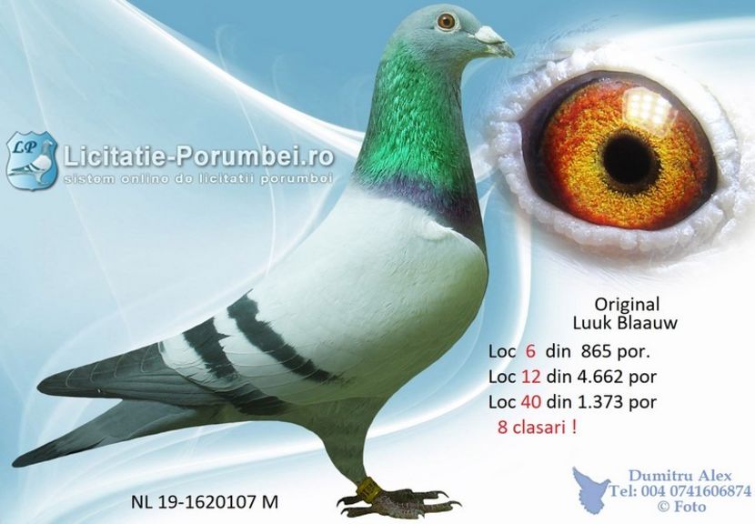  - Willy Cokelaere - Belg-2021