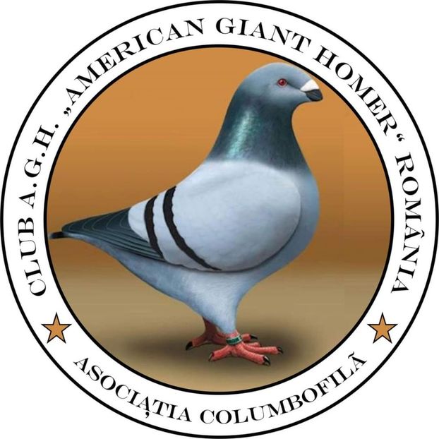 Per.1 - Perechi 2022