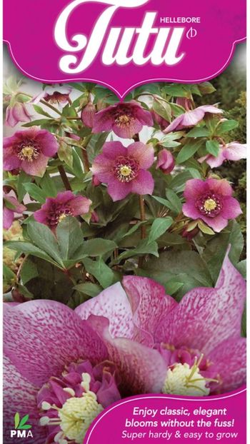 Screenshot_20220307_211254 - aaa Comanda plante 2022 2023 2024